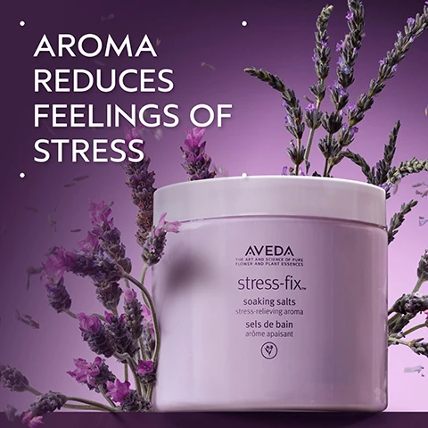 Image 2 - A light purple jar of Aveda stress-fix soaking salts is surrounded by lavender sprigs and floating particles on a purple background, with text that reads AROMA REDUCES FEELINGS OF STRESS and on the jar AVEDA THE ART AND SCIENCE OF PURE FLOWER AND PLANT ESSENCES stress-fix™ soaking salts stress-relieving aroma sels de bain arôme apaisant. Image 3 - A dark green background with a light pink circle containing sprigs of lavender and green sage leaves, with the text EMBRACE SERENITY and A STRESS-RELIEVING AROMA WITH LAVENDER, LAVANDIN, AND CLARY SAGE. Image 4 - A close-up of white granular crystals scattered and partially swirled on a light beige surface. Image 5 - An array of Aveda Stress-Fix products including lotions, oils, salts, and a concentrate roll-on are displayed amidst lavender sprigs and purple flowers on a gradient purple background, with some petals appearing to float, above the text: HOW TO USE 01 BATH Stress Fix™ Soaking Salts & Composition Oil 02 BODY Stress Fix™ Body Lotion & Body Creme 03 ON-THE-GO Stress Fix™ Concentrate Rollarball AVEDA THE ART AND SCIENCE OF PURE FLOWER AND PLANT ESSENCES stress-fix body lotion stress-relieving aroma lotion pour le corps arôme apaisant AVEDA THE ART AND SCIENCE OF PURE FLOWER AND PLANT ESSENCES stress-fix composition oil for body, bath and scalp huile aromatique apaisante pour le corps, le bain et le cuir chevelu AVEDA THE ART AND SCIENCE OF PURE FLOWER AND PLANT ESSENCES stress-fix soaking salts stress-relieving aroma sels de bain arôme apaisant AVEDA stress-fix concentrate stress-relieving aroma concentré arôme apaisant AVEDA stress-fix body creme/crème pour le corps stress-relieving aroma/arôme apaisant. Image 6 - White logos for various certifications are displayed against a backdrop of lush green plant leaves with a red stem on the left, reading 100% VEGAN, Certified B Corporation, and Cruelty Free INTERNATIONAL.