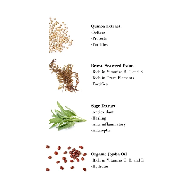 Image 1- Quinoa Extract -Softens -Protects -Fortifies Brown Seaweed Extact - Rich in Vitamins B, C and E -Rich in Trace Elements -Fortifies Sage Extract -Antioxidant -Healing -Anti-inflammatory -Antiseptic Organic Jojoba Oil -Rich in Vitamins C, B, and E -Hydrates