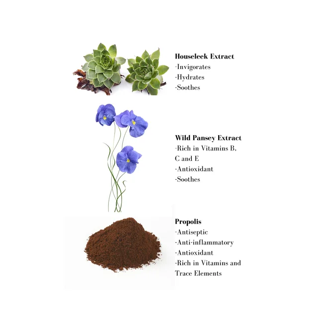 Image 1- Houseleek Extract -Invigorates -Hydrates -Soothes Wild Pansey Extract -Rich in Vitamins B, C and E -Antioxidant -Soothes Propolis -Antiseptic -Anti-inflammatory -Antioxidant -Rich in Vitamins and Trace Elements