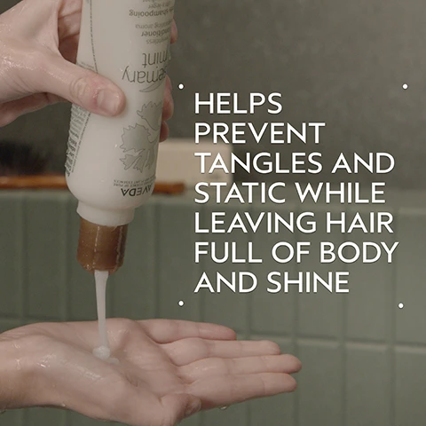 Image 2 - A hand squeezes white Aveda Rosemary Mint conditioner from a bottle into an open palm, with prominent white text on the right reading HELPS PREVENT TANGLES AND STATIC WHILE LEAVING HAIR FULL OF BODY AND SHINE. Image 3 - A dark green image featuring a light green circular section displaying sprigs of fresh rosemary and mint, with text that reads: ROSEMARY & MINT, INVIGORATING AROMA PROVEN TO AWAKEN THE SENSES AND IMPROVE FOCUS. Image 4 - The image shows a split-panel before and after comparison of a woman with long blonde hair, depicting dull, frizzy hair with dark roots on the left, and smooth, shiny, brighter hair on the right. Visible text includes BEFORE, AFTER, Unwashed Hair, and Results with Rosemary Mint Purifying Shampoo and Weightless Conditioner, Confixor Liquid Gel, Witch Hazel Light Hold Hair Spray, and Light Elements™ Defining Whip. Paddle Brush. Blow dried with round brush. Image 5 - The image illustrates a HOW TO USE guide for hair products with three steps: 01 CLEANSE shows shampoo in a hand with text Rosemary Mint Purifying Shampoo; 02 CONDITION shows hands applying product to hair with text Rosemary Mint Weightless Conditioner; and 03 STYLE shows a hand holding a Witch Hazel hair spray bottle with text Confixor Liquid Gel, Witch Hazel Light Hold Hair Spray, and Light Elements TM Defining Whip. Image 6 - A split image shows a man with flat, unwashed brown hair on the left, labeled BEFORE, and the same man on the right with voluminous, styled brown hair, labeled AFTER, with additional text Unwashed Hair and Results with Rosemary Mint Purifying Shampoo and Weightless Conditioner, Aveda Men Pure-Formance™ Firm Hold Gel and Thickening Paste. Blow dried hair. Image 7 - A creamy, light yellow swatch of cosmetic product, possibly lotion or cream, curved in a smooth smear against a white background. Image 8 - Three white certification logos are displayed on a background of dark green leaves: a 100% Vegan V logo, a Certified B Corporation logo, and a Cruelty Free International leaping bunny logo.