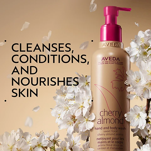 Image 2 - A cream-colored Aveda cherry almond hand and body wash bottle with a pink pump is surrounded by white cherry blossoms and falling petals, with text that reads Cleanses, Conditions, and Nourishes Skin, Aveda, The Art and Science of Pure Flower and Plant Essences, cherry almond, hand and body wash, sweet floral, cherry almond aroma, nettoyant pour les mains et le corps, arôme floral doux de cerisier et damandier. Image 3 - Orange fruits on branches with white blossoms and green leaves, next to dark tonka beans, displayed on a cream circle against a dark green background, with the text Uplift Your Mood and A Sweet Floral Aroma With Tonka Bean, Orange, And Ylang-Ylang. Image 4 - Three Aveda Cherry Almond products, including a body scrub, hand and body wash, and body lotion, are arranged against a brown background with white flowers, accompanied by text: HOW TO USE, AVEDA THE ART AND SCIENCE OF PURE FLOWER AND PLANT ESSENCES, cherry almond body scrub sweet floral cherry almond aroma gommage exfoliant corporel arôme floral doux de cerisier et damandier, cherry almond hand and body wash sweet floral cherry almond aroma nettoyant pour mains et le corps arôme floral doux de cerisier et damandier, cherry almond body lotion sweet floral cherry almond aroma lotion pour le corps arôme floral doux de cerisier et damandier, 01 EXFOLIATE cherry almond body scrub, 02 CLEANSE cherry almond hand and body wash, 03 MOISTURIZE cherry almond body lotion. Image 5 - Three circular swatches of light pink product, one large and two smaller, are displayed on a white background with a dark green frame. Image 6 - Three white certification logos are displayed against a dark green leafy background, reading 100% VEGAN, Certified B Corporation, and Cruelty Free INTERNATIONAL.
