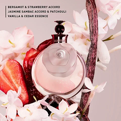 bergamot and strawberry accord, jasmine sambac accord and patchouli, vanilla and cedar essence