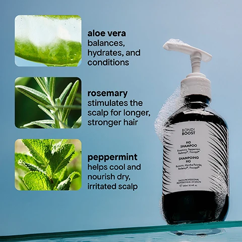 Image 1 - A Bondi Boost HG Shampoo bottle with foam is pictured alongside three panels detailing its key ingredients: aloe vera, which balances, hydrates, and conditions; rosemary, which stimulates the scalp for longer, stronger hair; and peppermint, which helps cool and nourish dry, irritated scalp; the bottle itself displays text reading BONDI BOOST HG SHAMPOO Rosemary, Peppermint, Radensyl, Procapil SHAMPOING HG Romarin, Menthe Poivree, Radensyl, Procapil USION PROFESSIONNEL DE SALON e 300ml 10.14fl.oz. Image 2 - A wooden hairbrush with white bristles is covered in tangled strands of shed dark hair against a light blue background, with text that reads 93% saw less shedding and 93% saw less breakage and new baby hairs, followed by smaller text that says Based on a 1-month 3rd party consumer perception study with 30 participants using HG Shampoo, Conditioner, & Procapil® Tonic. Based on a 3-month 3rd party consumer perception study with 30 participants using HG Shampoo, Conditioner, & Procapil® Tonic. Image 3 - A persons head with wet, sudsy dark hair, with text on the left outlining benefits: promotes longer + stronger-looking hair, gently cleanses scalp, targets signs of thinning + shedding. Image 4 - A side-by-side comparison image shows a persons brown hair before and after three months of treatment, with the hair appearing fuller in the after image, alongside text labels before and after - 3 months, and a disclaimer Third Party Clinical B&A Using: HG Shampoo, Conditioner and Procapil Scalp Tonic. Image 5 - A before and after comparison of a scalp showing increased hair density, labeled before and after - 3 months, with the text products used: HG Shampoo, Conditioner & Miracle Mask. Image 6 - The image shows six dark brown Bondi Boost hair care products, including shampoo, conditioner, mask, and various scalp treatments, displayed on light stone risers with green foliage, and features the text Formulated With Australian Native Extracts, Bondi Boost HG Shampoo, Bondi Boost HG Conditioner Revitalisant HG, Bondi Boost HG Mask, Bondi Boost HG Thickening Therapy Scalp Spray, Bondi Boost HG Revitalising Scalp Serum, Bondi Boost HG Rescuing Scalp Tonic.