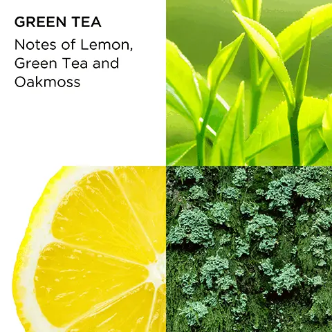 image 1, GREEN TEA Notes of Lemon, Green Tea and Oakmoss Image 2, Energizing & Refreshing Calms & conditions dry skin Elizabeth Arden Green Tea Honey Dropy Body Cream Crime Nectar an pour le Corpy Miel Image 3, For Delightful Layering Elizabeth Arden Elizabeth Arden Grown The Hanny Dready Cri Come Noctor and Mil Green Tea Scent Spray Ean Parfumée Vaporyateur PRO TIP: First, apply Honey Drops Body Cream followed by Green Tea Scent Spray Image 4, Elizabeth Arden Green Tea Plizabeth Arden Elizabeth Arden Green Te Scent Sp SCENT SPRAY/CAUTARFUME VACATUR 3.3 FLOZ 100mLe HONEY DROPS BODY CREAM/CREENCARAMEL POUR LE CORPS 33 FLOZ 100 GREEN TEA SCENT SPRAY, 100ML GREEN TEA HONEY DROPS BODY CREAM, 100ML