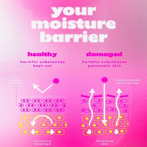Image 1 - An illustration comparing a healthy skin barrier to a damaged one, with text indicating the healthy section retains moisture and keeps harmful substances out, while the damaged section loses moisture and allows harmful substances to penetrate skin; the phrases your moisture barrier, healthy, and damaged are prominently displayed.