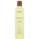 Shampoing assouplissant Aveda Rosemary Mint