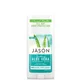 Bâton apaisant à base d'Aloe vera JASON Deodorant (71g)