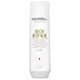Shampooing réparateur Rich Repair Goldwell Dualsenses 250 ml