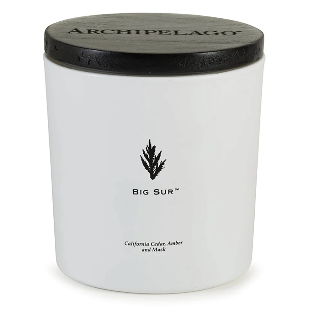 Archipelago Botanicals Coastal Luxe Candle - Big SurImage1