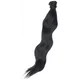 Easilocks x Jordyn Woods Ponytail - Ebony