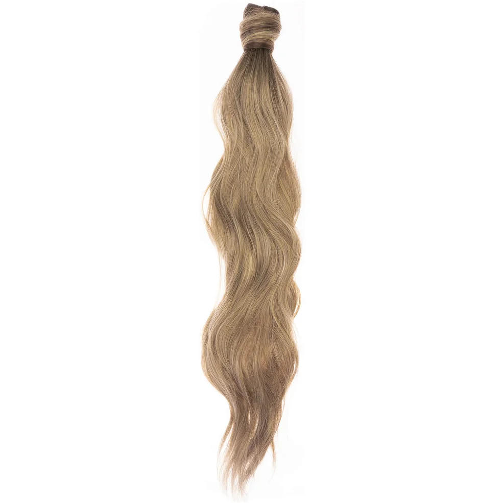Easilocks x Jordyn Woods Ponytail - Biscuit BallyageImage1