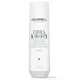 Goldwell Dualsenses Curls and Waves Shampoo 250ml