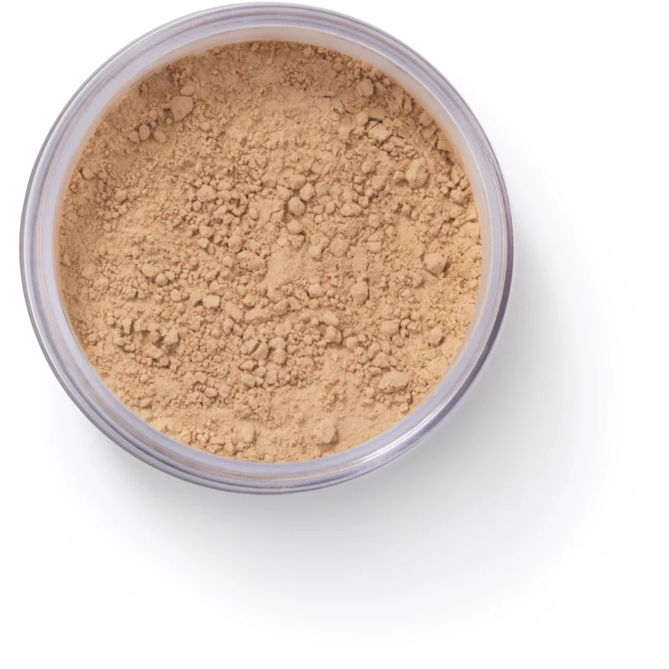 EX1 Cosmetics Pure Crushed Fond de teint poudre minérale (8g) (différentes teintes)Image1
