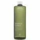 Exfoliant Aveda Botanical Kinetics (150ML)