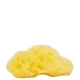 Eponge de mer éthique Fina Silk de Natural Sea Sponge Company (7,5 cm)