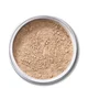 Fond de teint poudre minérale EX1 Cosmetics Pure Crushed - M100