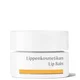Baume à lèvres du Dr. Hauschka (4,5 ml)