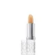 Rouge à lèvres Elizabeth Arden Eight Hour Sheer Tints - Plum (3.7g)