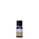 Huile Essentielle Frankincense Neal's Yard Remedies 10 ml