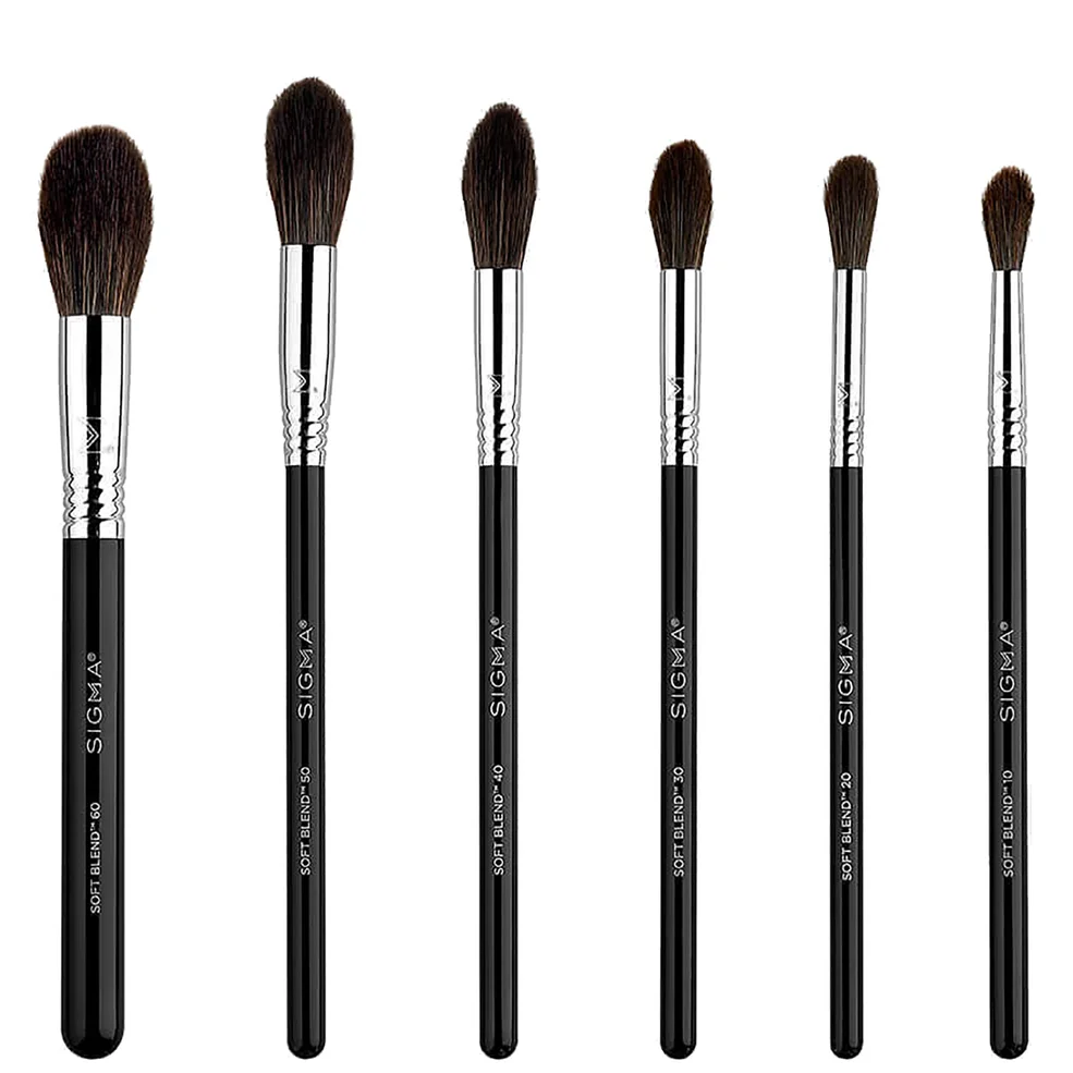 Sigma Beauty Soft Blend Brush SetImage1
