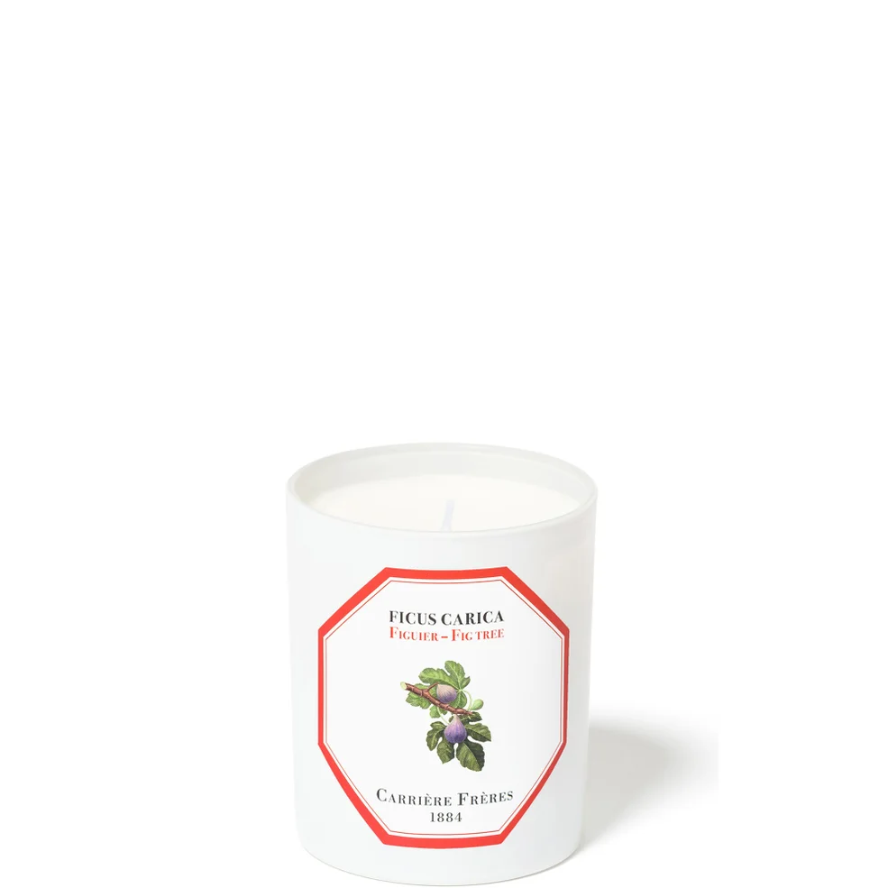 Carrière Frères Scented Candle Fig Tree - Ficus Carica - 185 gImage1