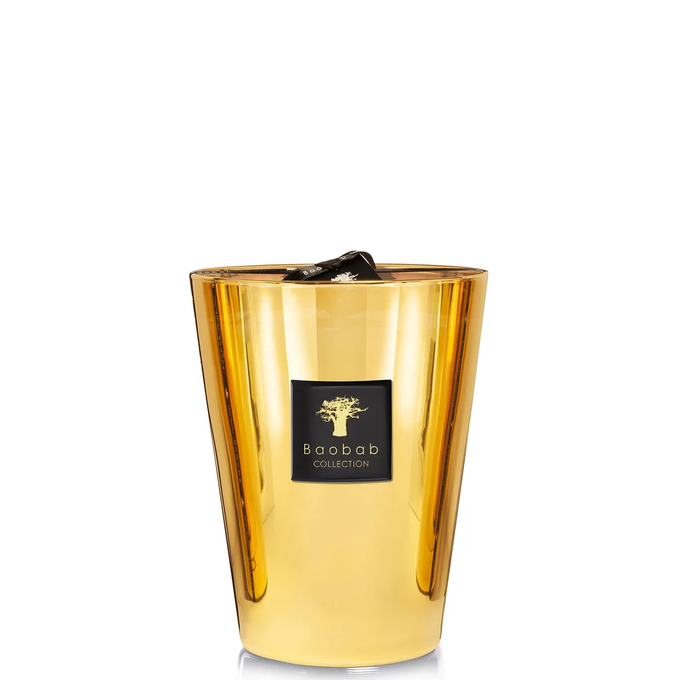 Baobab Collection Max 24 AurumImage1