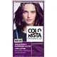 L'Oréal Paris Colorista Magnetic Long-Lasting Permanent Hair Dye Gel - Magnetic Plum 1ml