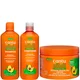 Cantu Avocado Bundle