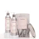 Nous sommes Paradoxx Repair Haircare Kit
