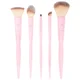 Ensemble complet pour le visage Brushworks HD