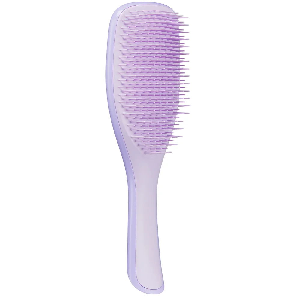 Tangle Teezer The Ultimate Detangler Fine and Fragile Brush - Hypnotic HeatherImage1