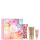 Elizabeth Arden Nightly Performance Retinol Ceramide Capsules (60 capsules) Coffret Cadeau