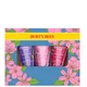 Burt's Bees Hand Cream Trio Gift Set