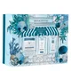Christophe Robin Hair Detox Ritual 2024 (worth 61€)