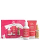 Wella Professionals Care Color Brilliance Coffret Voyage