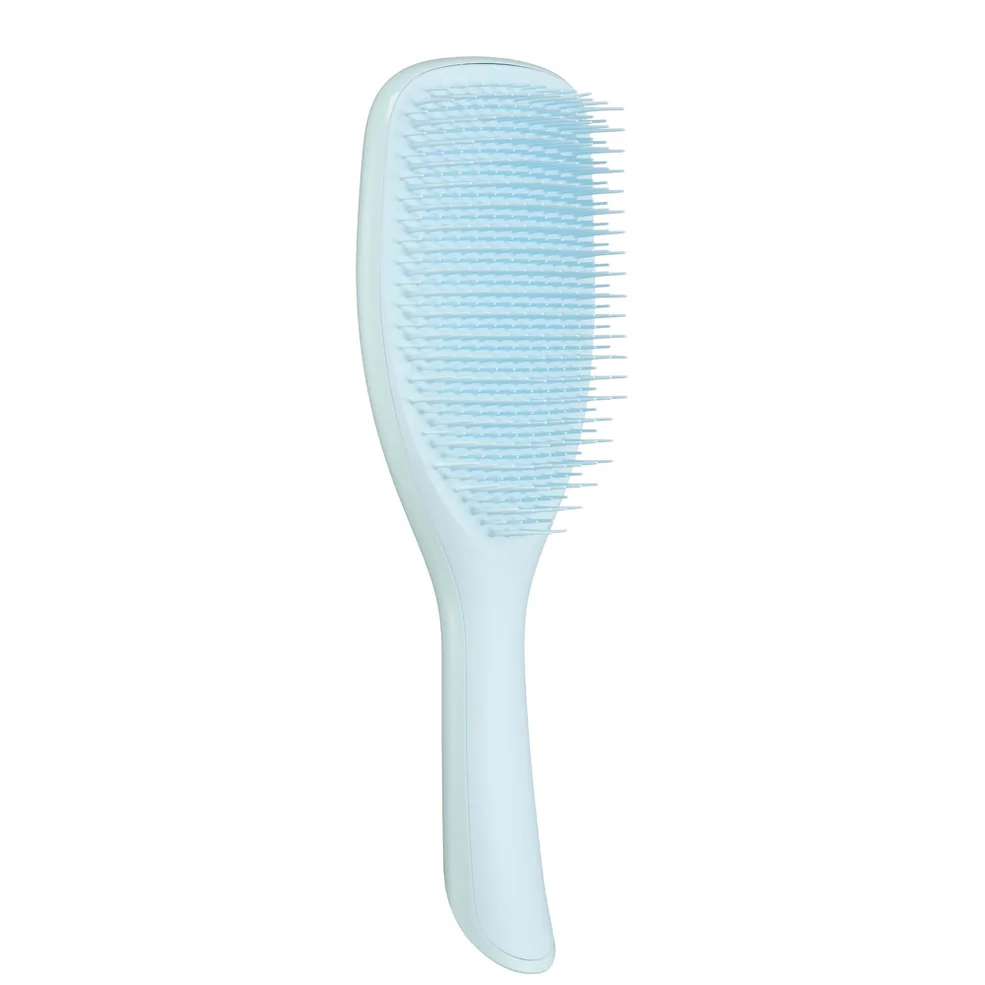 The Large Wet Detangler Fine & Fragile Seafoam BlueImage1